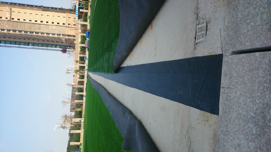 DSC_3832.JPG